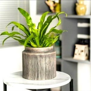 COPY - Beautiful planter . New